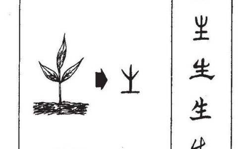白玉米的各种吃法视频-白玉米的各种吃法网 - 网站提供白玉米做法大全小常识、白玉米做法大全