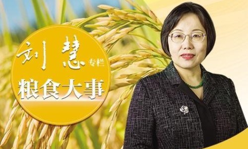白玉米的各种吃法网 - 网站提供白玉米做法大全小常识、白玉米做法大全